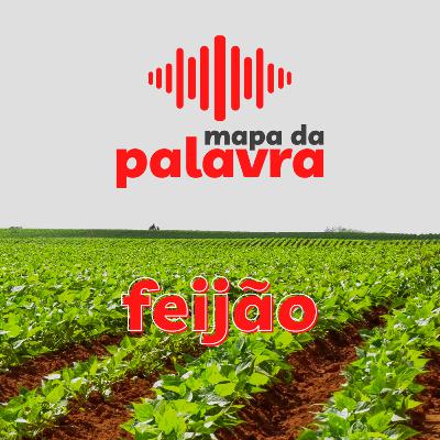 Feijão