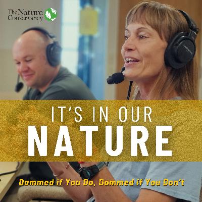 Dammed if You Do, Dammed if You Don't