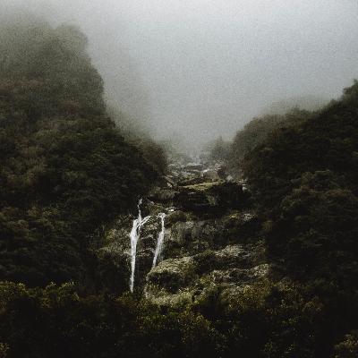 Paisa VS Passion | How To Make A Career Choice?