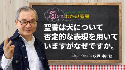 聖書は犬について、否定的な表現を用いていますが、なぜですか。（487)
