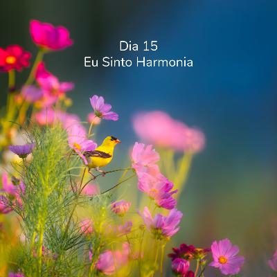 Dia 15 - Eu Sinto Harmonia