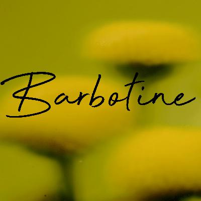 Barbotine, the Bold