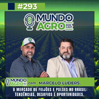 EP293 MAP “O Mercado de Feijões e Pulses no Brasil: Tendências, desafios e oportunidades com Marcelo Lüders”
