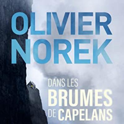 Emilie part en livres: Dans les brumes des capelans (Olivier Norek) Emilie part en livres: Dans les brumes des capelans (Olivier Norek)
