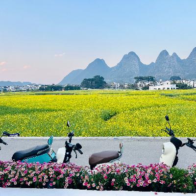 Vol 11.年终特辑二：旅行目的地和神奇体验