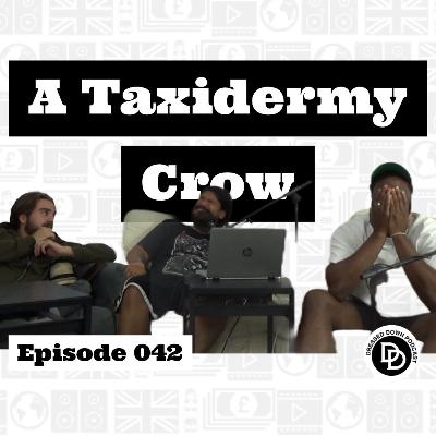 042 | A Taxidermy Crow