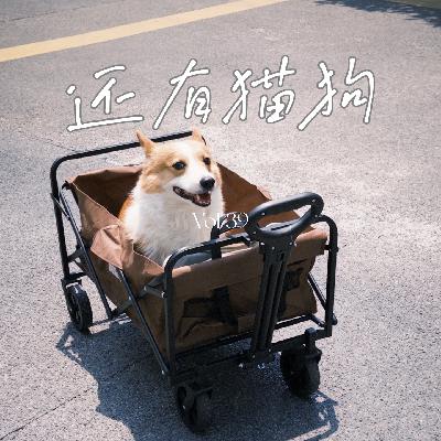 39 如何与生活的无力感，更好相处？