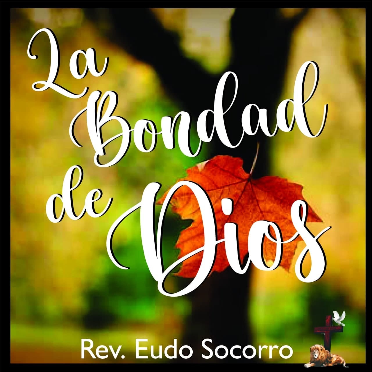 ICJS Radio