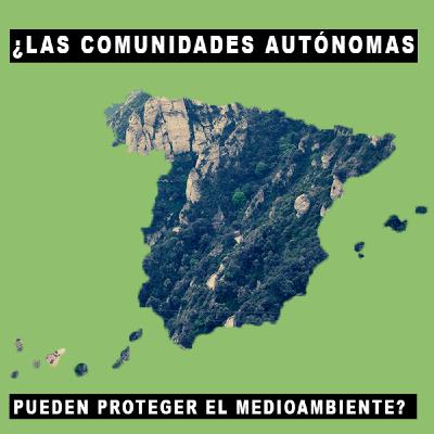 21. ¿Las comunidades autónomas pueden proteger el medioambiente?