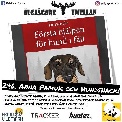246. Anna Pamuk & Hundsnack!