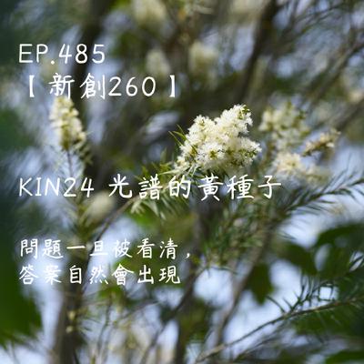馬雅星球之旅｜EP485－【新創260】-KIN24光譜的黃種子-問題一旦被看清，答案自然會出現。