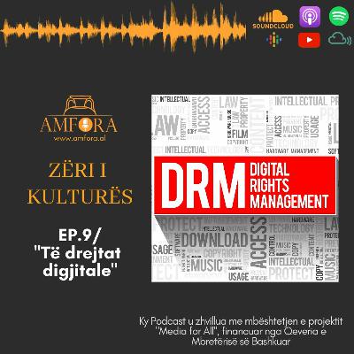 "Të drejtat digjitale" - “Zëri i Kulturës” / Ep. 9