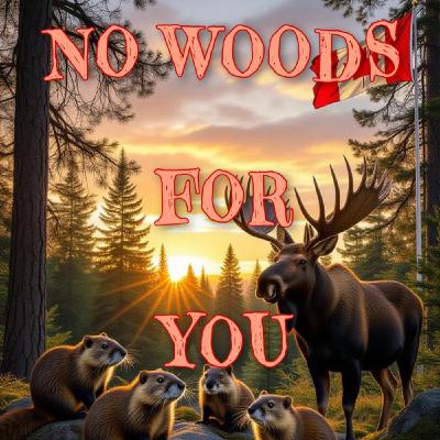 No Woods for You No Woods for You