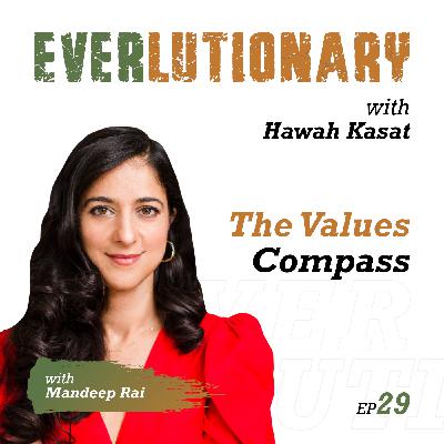E29 - The Values Compass with Dr. Mandeep Rai