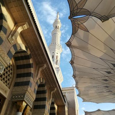 كيف انتهى بنا المطاف إلى المدينة؟