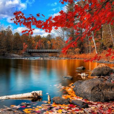 Dopoludnie na InfoVojne s Adrianom 22.10.2025 Dopoludnie na InfoVojne s Adrianom 22.10.2025