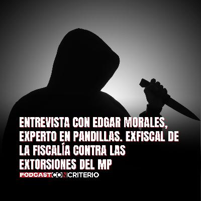 Pandillas en Guatemala: extorsión, migración y el debate sobre terrorismo
