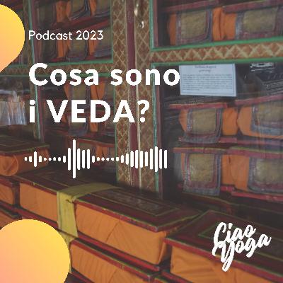 Cosa sono i VEDA?