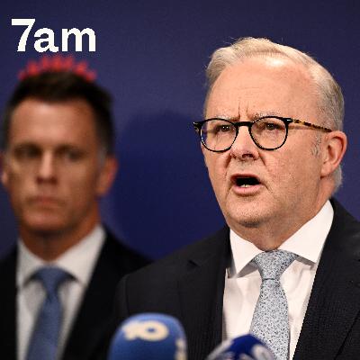 Albanese's plan to tackle anti-semitism