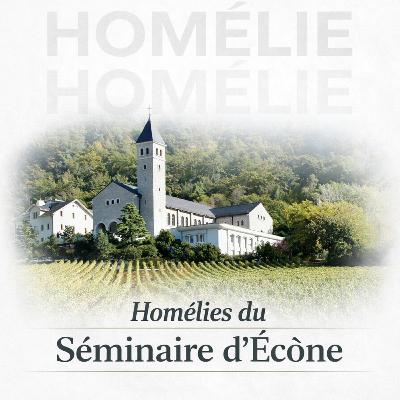 [ECONE] Communier dans la main (Abbé de Lacoste, 22/02/2026)