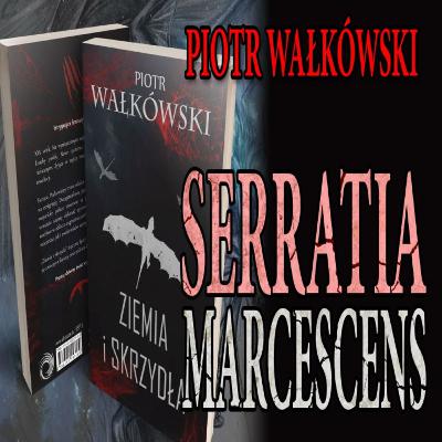 #497 Piotr Wałkówski - Serratia Marcescens [LEKTOR PL]