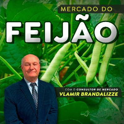 Feijão deve abrir 2025 com preços firmes e déficit na safra