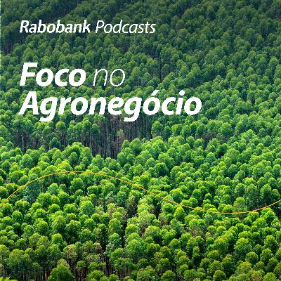 Perspectivas 2026 | Papel e Celulose