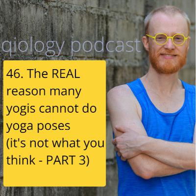 46. The REAL reason many yogis cannot do yoga poses (it's not what you think) - part 3 46. The REAL reason many yogis cannot do yoga poses (it's not what you think) - part 3