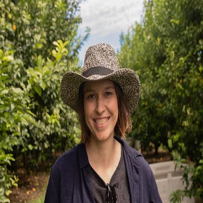 The tourism-migration nexus: working holiday visa politics and repurposing tourists as labour The tourism-migration nexus: working holiday visa politics and repurposing tourists as labour