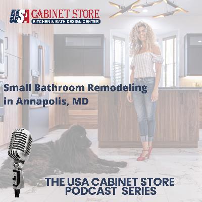 Small Bathroom Remodeling in Annapolis, MD Small Bathroom Remodeling in Annapolis, MD