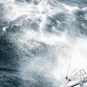 Global fisheries issue