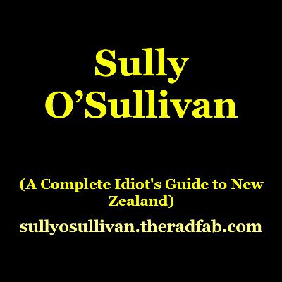 Sully O'Sullivan | Kiwi Comedy, Fringe Life, and Finding His Way East