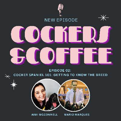 Episode 02: Cocker Spaniel 101 - Getting to know the breed