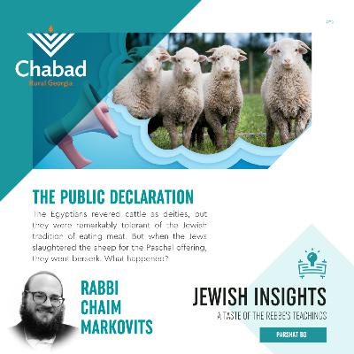 BO: THE PUBLIC DECLARATION With Rabbi Chaim Markovits - S2 E14 - Jewish Insights