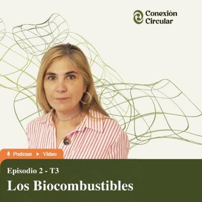 S3:02 "Los biocombustible: mitos y realidades" invitada Agustina Mendiburu Elicabe