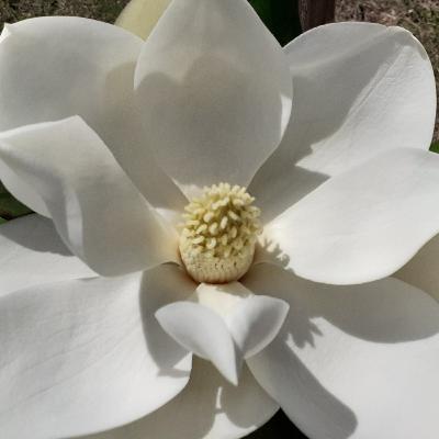 Ampliamos nuestra conciencia en la respiración Ampliamos nuestra conciencia en la respiración