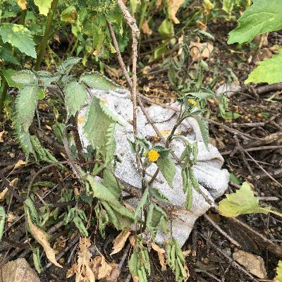 MyEveryDayRadio3.WAV