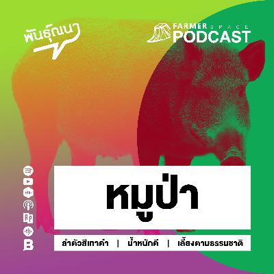 หมูป่า 【พันธุ์ณนา】 หมูป่า 【พันธุ์ณนา】