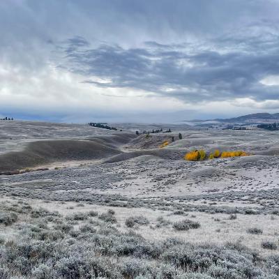 This Week in Yellowstone: November 13th to November 19th, 2025 This Week in Yellowstone: November 13th to November 19th, 2025