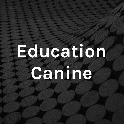 Apprendre la propreté à votre chiot