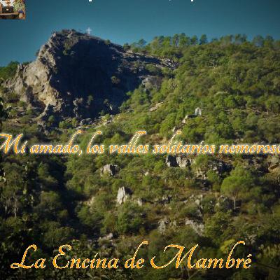 Mi amado, los valles solitarios nemorosos