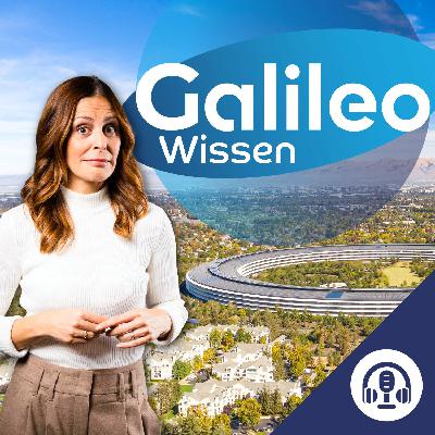 20 Minuten Wissen: Dein Crashkurs zum Silicon Valley-Mindset