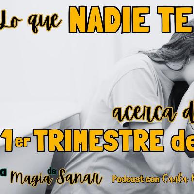 189.4T PRIMER TRIMESTRE EMBARAZO: Síntomas, emociones y todo lo q me habría gustado saber! 189.4T PRIMER TRIMESTRE EMBARAZO: Síntomas, emociones y todo lo q me habría gustado saber!