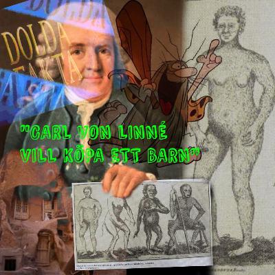 Carl von Linné del 2 - Carl von Linné vill köpa ett barn