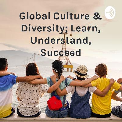 An Interview with a Medical Practitioner: The Faults with Current Cross-Cultural Solutions An Interview with a Medical Practitioner: The Faults with Current Cross-Cultural Solutions