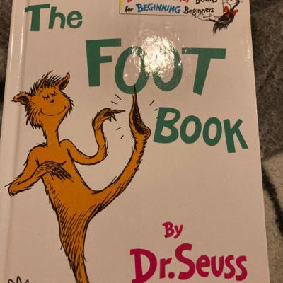 The Foot Book