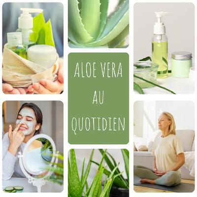 L'aloe vera au quotidien : Histoire de l'aloe vera à travers les siècles