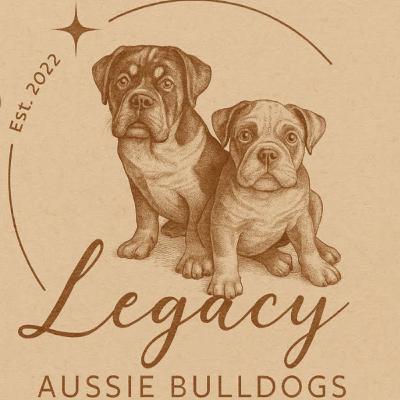 Australian Bulldogs - Beccah Wilson from Legacy Aussie Bulldogs Australian Bulldogs - Beccah Wilson from Legacy Aussie Bulldogs