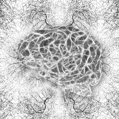 The science behind trauma The science behind trauma