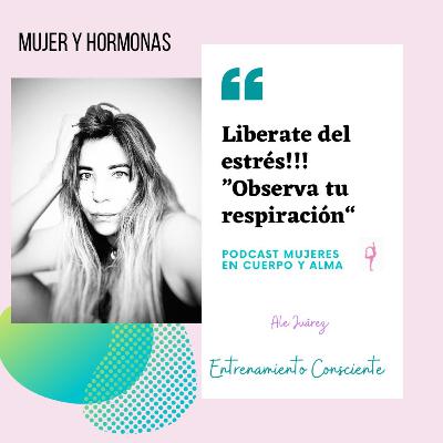 Meditación #6: "Respira para liberarte del estrés"